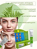 Крем против прыщей и угрей Щи Фей Ши 35 гр., фото 2