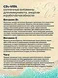 ФИТОБУСТЕР для иммунитета и тонуса CD-VITA с Чагой 60 шт., фото 3