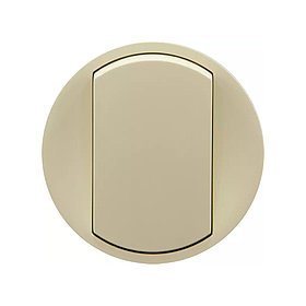 Лицевая панель Celiane 066200 для выключателя Слоновая кость