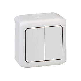 Выключатель двухклавишный Legrand Forix 10A 250В IP44 накладной белый