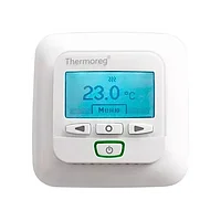Thermo Thermoreg TI 950