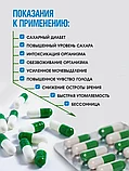 КАПСУЛЫ ДЛЯ СНИЖЕНИЯ САХАРА В КРОВИ. 24 КАПСУЛЫ "ДЕД", фото 4