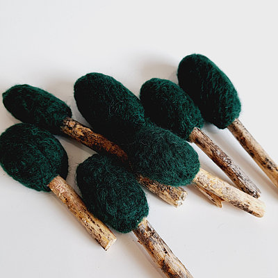 Әйел жыныс мүшелерінің қынап эпителийі