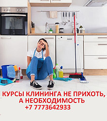 От новичка до профи: Создай успешный клининговый бизнес за 3 дня!