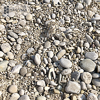 Ұстаздардың порно видеосы