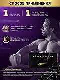 Средство для повышения мужской силы Аликапс 12 шт, фото 4