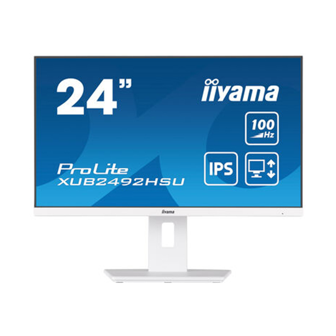 Монитор iiyama ProLite PL2492H XUB2492HSU-W6 24" 2-025903