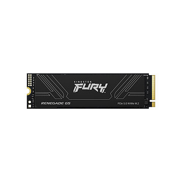Твердотельный накопитель SSD Kingston FURY Renegade G5 SFYR2S/4T0 M.2 NVMe PCIe 5.0x4, фото 1