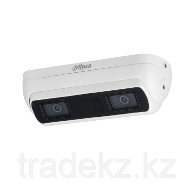 DH-IPC-HDW8441X-3D IP видеокамера с двумя объективами для подсчета людей