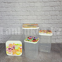 Набор из 4х контейнеров для хранения сыпучих пищевых продуктов 3100 мл, 2100 мл, 1400 мл, 900 мл