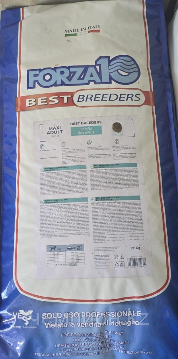 714601 Forza10 Max Diet Best Breeders Pesce (26/13), Форца10 корм из рыбы для собак крупных пород, уп. 20кг