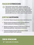 Хитин Bdokang 60 таблеток, фото 5