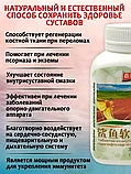 Укрепление суставов и опорно-двигательного аппарата из акульих хрящей Bdokang 60 таблеток, фото 4