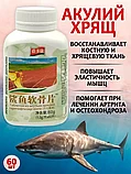 Укрепление суставов и опорно-двигательного аппарата из акульих хрящей Bdokang 60 таблеток, фото 3
