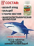 Укрепление суставов и опорно-двигательного аппарата из акульих хрящей Bdokang 60 таблеток, фото 6