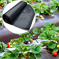 Мульчирующая пленка ХозАгро 60 мкм (черная) размер 1,3 м * 500 м