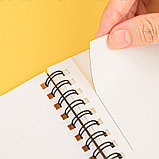 Альбом для рисования DELI, А4, 30 л., офсет, 100 г/кв.м., ассорти, на спирали, фото 3