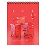 Блокнот BG "Office book" на спирали, А5, 60 листов в клетку, фото 3
