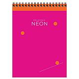 Блокнот BG "Bright light" на спирали, А5, 80 листов в клетку, фото 5