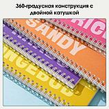 Записная книжка DELI "SpongeBob" на спирали, B5, 60 листов в линейку, ассорти, фото 4