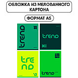 Тетрадь общая BG "Monocolor. Green trend", А5, 48 листов в клетку, на скрепке, фото 4