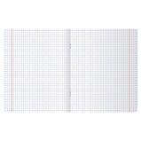 Тетрадь общая BG "Сочная тетрадь", А5, 48 листов в клетку, на скрепке, фото 2