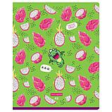 Тетрадь общая BG "Сочная тетрадь", А5, 48 листов в клетку, на скрепке, фото 6