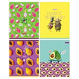 Тетрадь общая BG "Сочная тетрадь", А5, 48 листов в клетку, на скрепке, фото 7