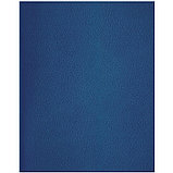 Тетрадь общая BG, А4, 80 листов в клетку, обложка бумвинил, синий, эконом., фото 2