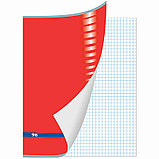 Тетрадь общая BRAUBERG "Inday", А4, 96 листов в клетку, на скрепке, фото 7