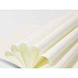 Тетрадь общая DELI, А5, 40 листов, в линейку, эконом., фото 2