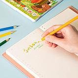 Карандаши цветные Deli "Bingoo", 24 цвета, картон, фото 5