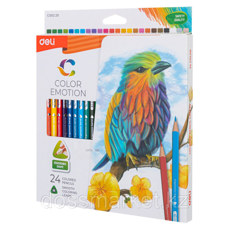 Карандаши цветные Deli "Color Emotion", 24 цвета, картон, фото 1