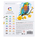 Карандаши цветные Deli "Color Emotion", 24 цвета, картон, фото 3