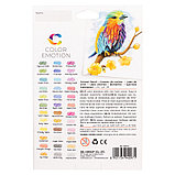 Карандаши цветные Deli "Color Emotion", 36 цветов, картон, фото 2