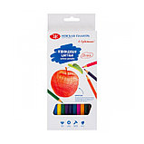 Карандаши цветные ЗХК "Я-Художник", 24 цвета, шестигранные, картон, фото 2