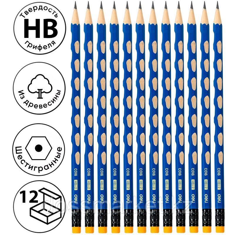 Карандаш DELI "U-Touch", НВ, шестигранный корпус, дерево, с ластиком, синий, фото 1