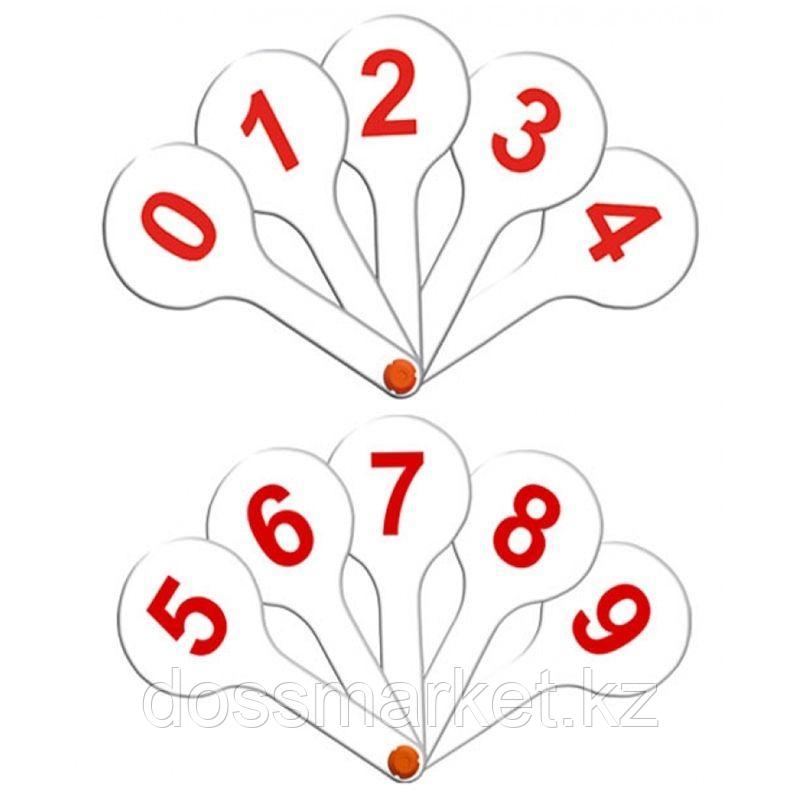 Веер-касса цифр от 0 до 9, СТАММ, фото 1