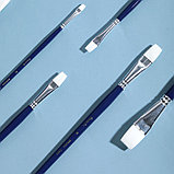 Набор кистей DELI "Finenolo", №10, плоская, березовая ручка 32 см, 6 штуки в уп., синтетика, фото 2