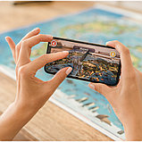 Карта Мира "Животный и растительный мир Земли" Globen, 1010х690 мм, интерактивная, с ламинацией, фото 4