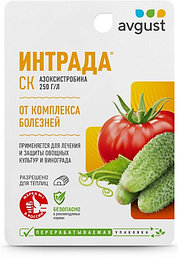 Интрада 10мл