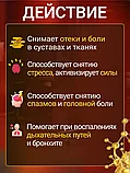 Пластырь Power Red Ginseng имбирь красный 20 шт., фото 5
