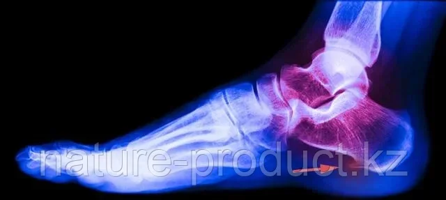 Көк порно видеолар