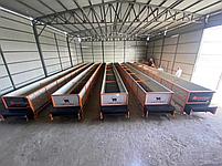 Станок для биогумуса, фото 5