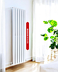 Радиатор вертикальный Brandoni VC12-212 белый, фото 8