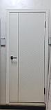 " ВЕКТОР "  Межкомнатная дверь, фото 2