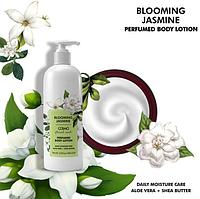 COSMO Парфюмированный лосьон для тела Blooming Jasmine 480 мл