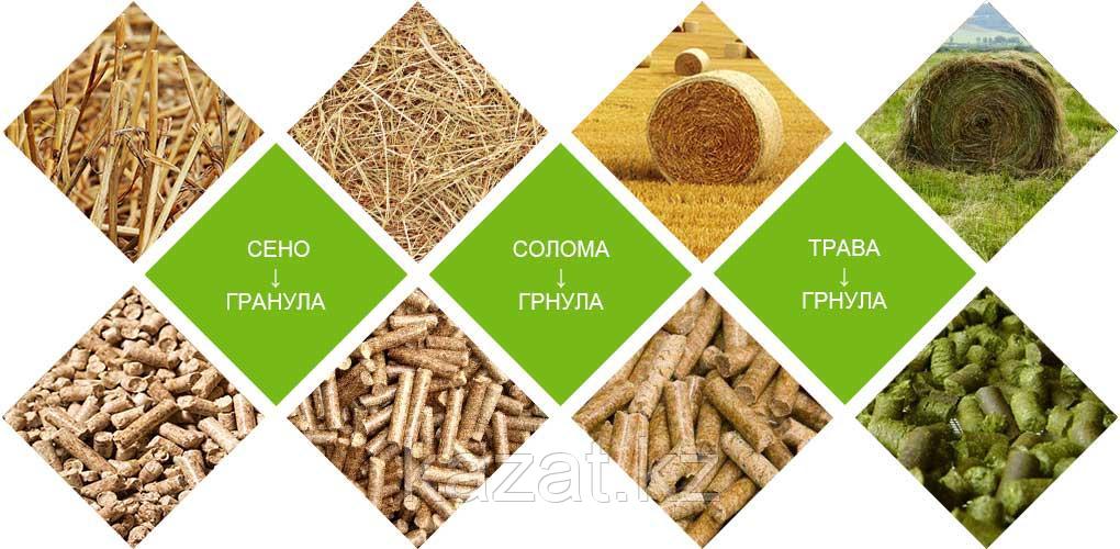 Оборудование Для Гранулирования Сена