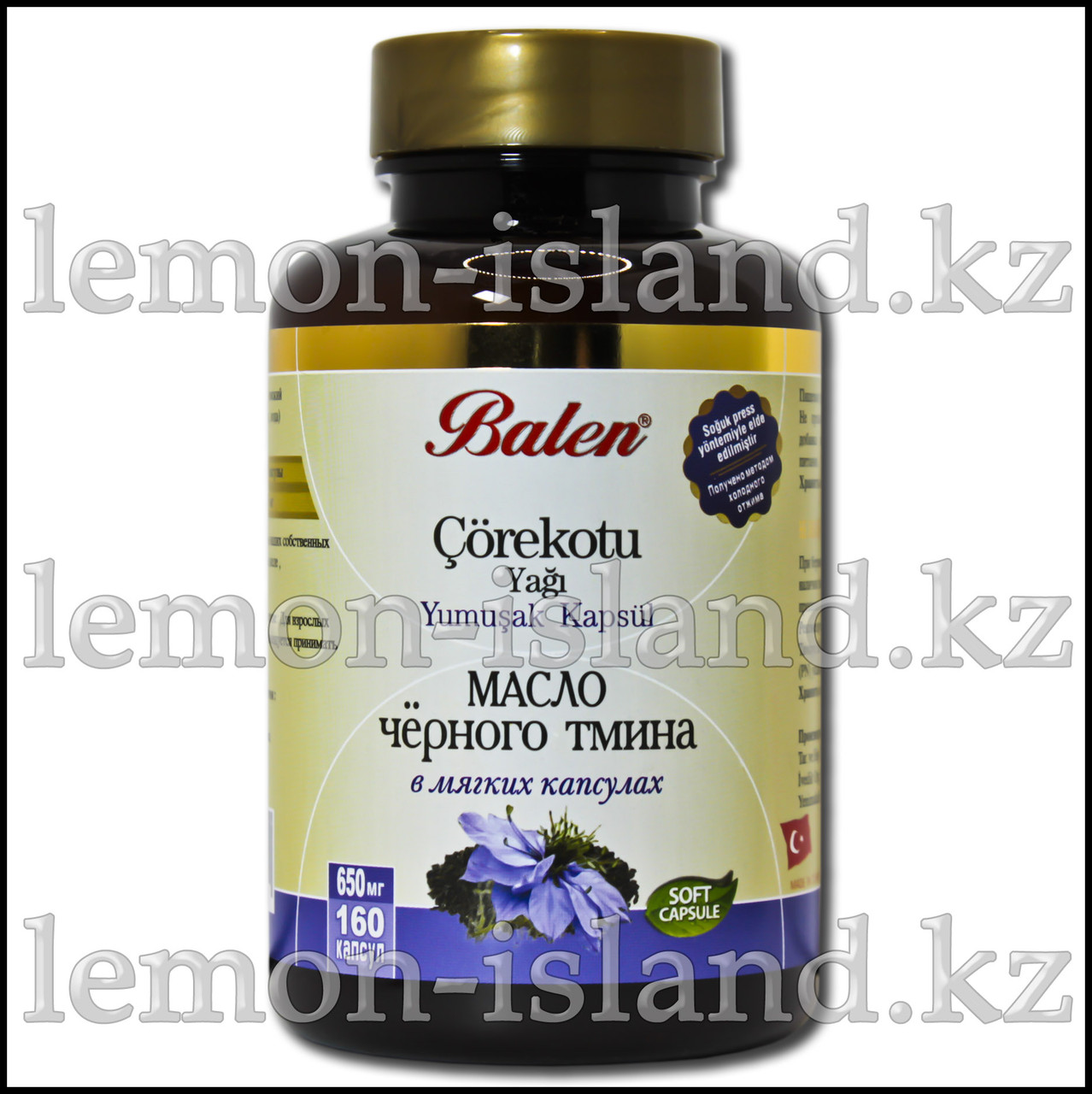 Катя Самбуко порно видео көреді