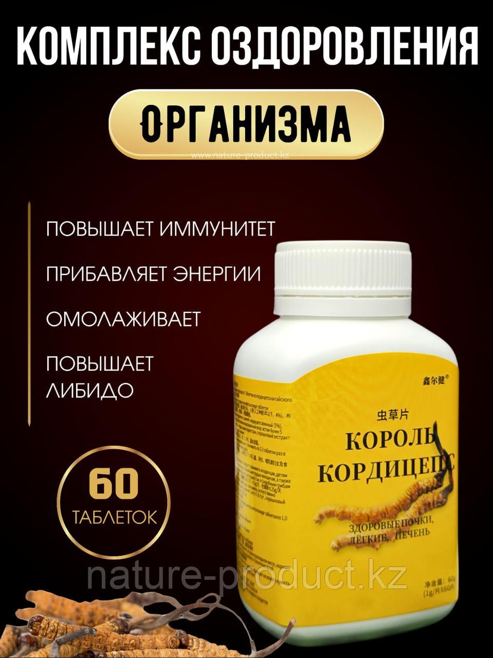 Король кордицепс для почек, легких и печени Bdokang 60 таблеток.